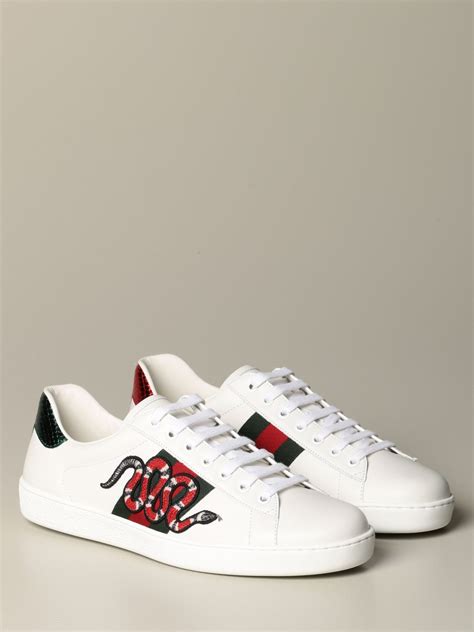 scarpe gucci donna ebay|Gucci trendy sneakers.